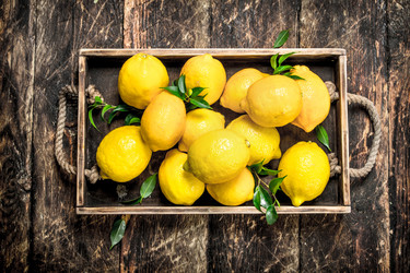 Similar image 15915854