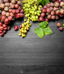 Similar image 15920942