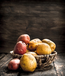 Similar image 15921471