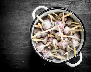 Similar image 15923864