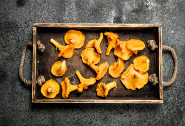 Similar image 15924167