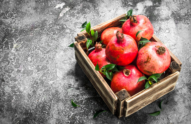 Similar image 15916061