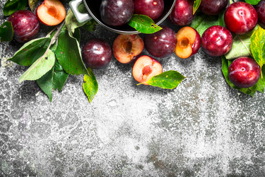 Similar image 15916932