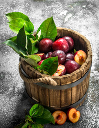 Similar image 15917035