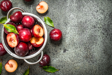 Similar image 15917069