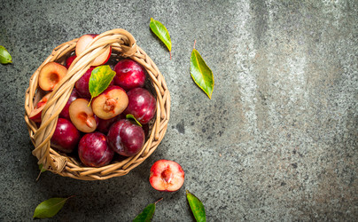 Similar image 15917105