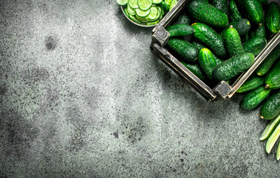 Similar image 15916836