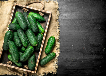 Similar image 15917056