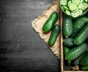 Similar image 15917086