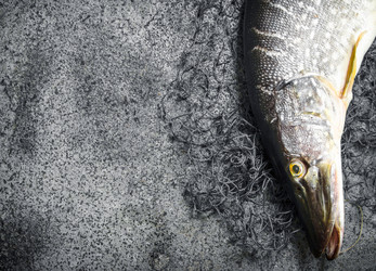 Similar image 15917856