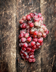 Similar image 15918215