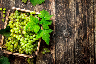 Similar image 15918311