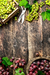 Similar image 15918360