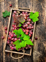 Similar image 15918421