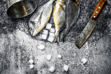 Similar image 15918457