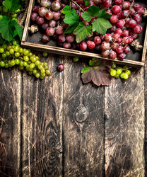 Similar image 15918442