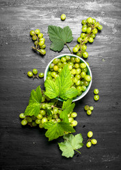 Similar image 15919997