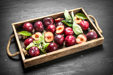 Similar image 15920285