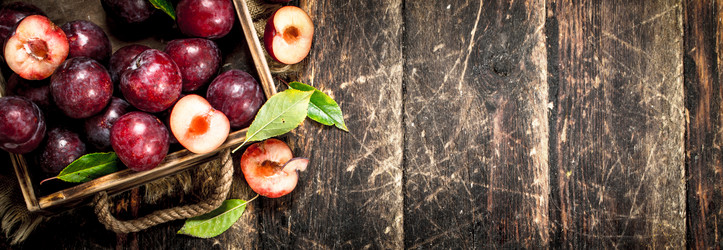 Similar image 15920302