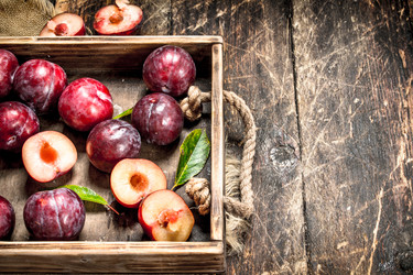 Similar image 15920402