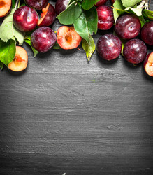 Similar image 15920507