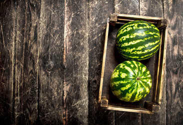 Similar image 15921608