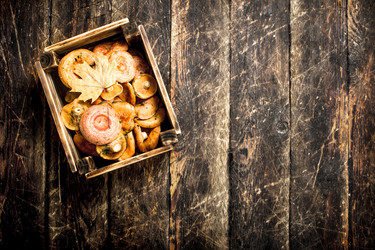 Similar image 15916453