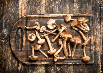 Similar image 15916555