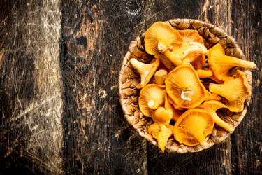 Similar image 15916559