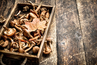 Similar image 15916619