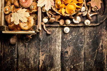 Similar image 15916674