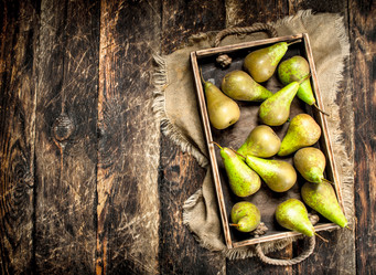 Similar image 15916841