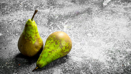 Similar image 15916902