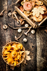 Similar image 15916947