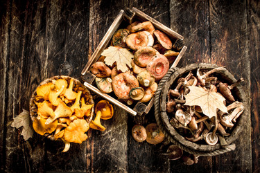 Similar image 15917013