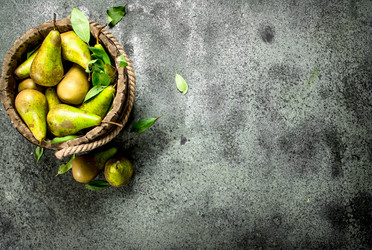 Similar image 15917134