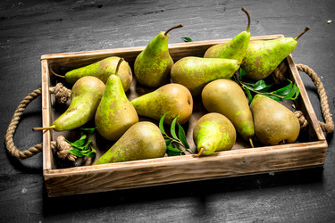 Similar image 15917216