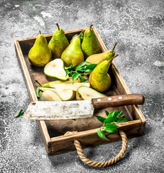 Similar image 15917448