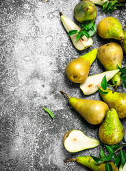 Similar image 15917474