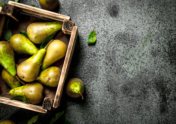 Similar image 15917573