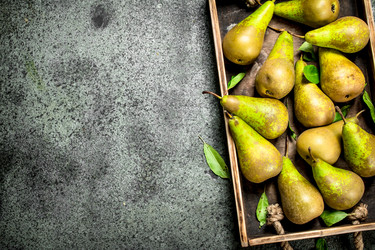 Similar image 15917631