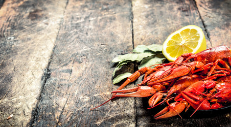 Similar image 15918136