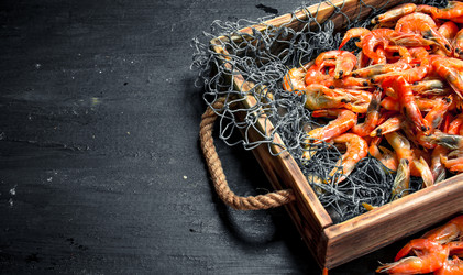 Similar image 15918258