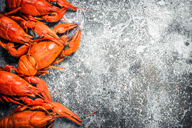 Similar image 15918344