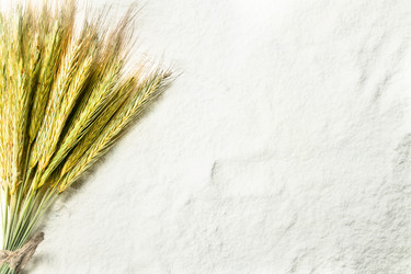 Similar image 15920667