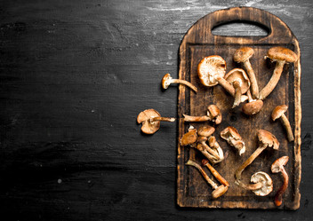 Similar image 15921081