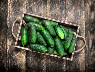 Similar image 15921565