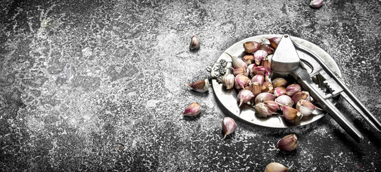 Similar image 15921753