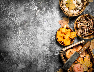 Similar image 15922109