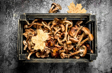 Similar image 15922209